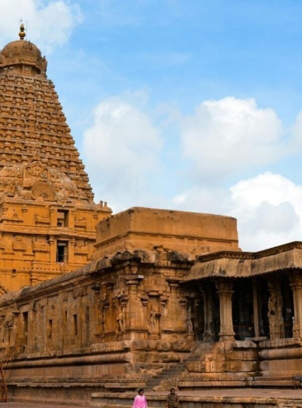 WhatsApp Image 2026-04-14 at 19.44.55