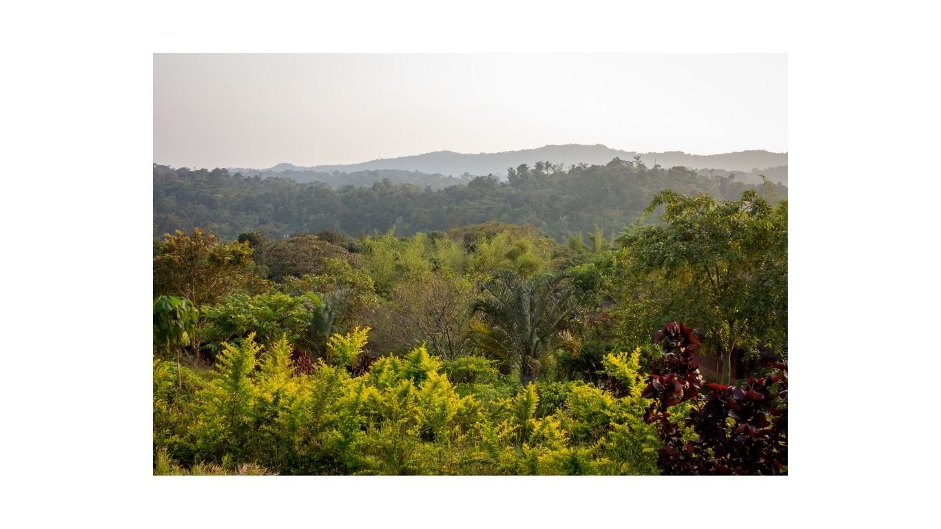 Coorg Budget-Friendly Tour Package