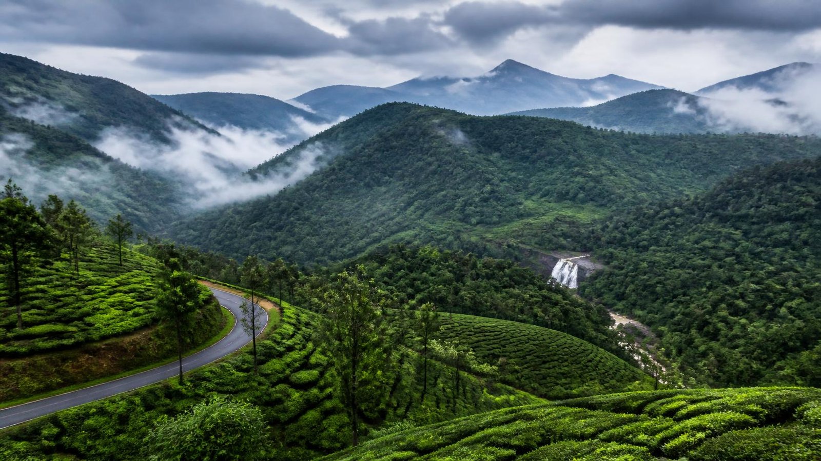 Wayanad Budget-Friendly Tour Package